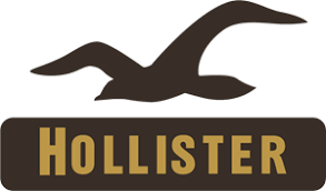 Hollister Co. Hollister Co.